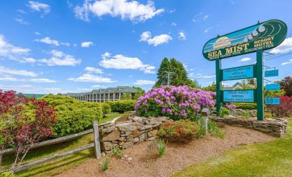 Sea Mist Resort Motel - image 7