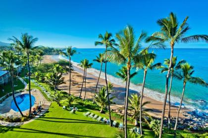 The Hale Pau Hana - image 1