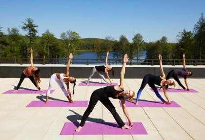 YO1 Health Resort Catskills - image 15