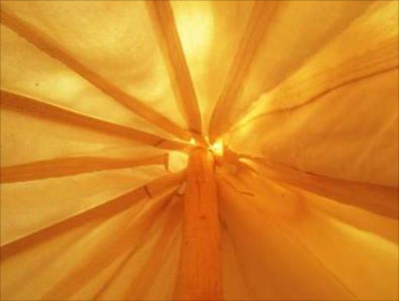 Under Canvas Moab - image 3