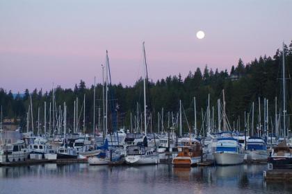Resort at Port Ludlow - image 9