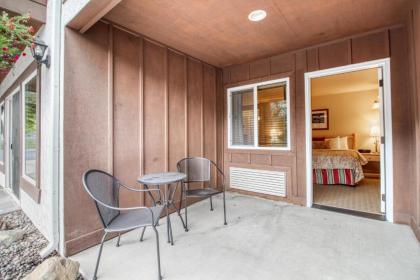 Icicle Village Resort 402: Juniper Studio - image 17