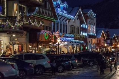 Icicle Village Resort 402: Juniper Studio - image 6