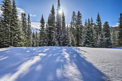 Spacious Breck Home with Hot Tub about 9 Mi to Ski Resort - image 14