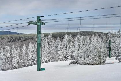 Ski-In and Out Snowshoe Slopeside Resort Brigham Condo - image 8