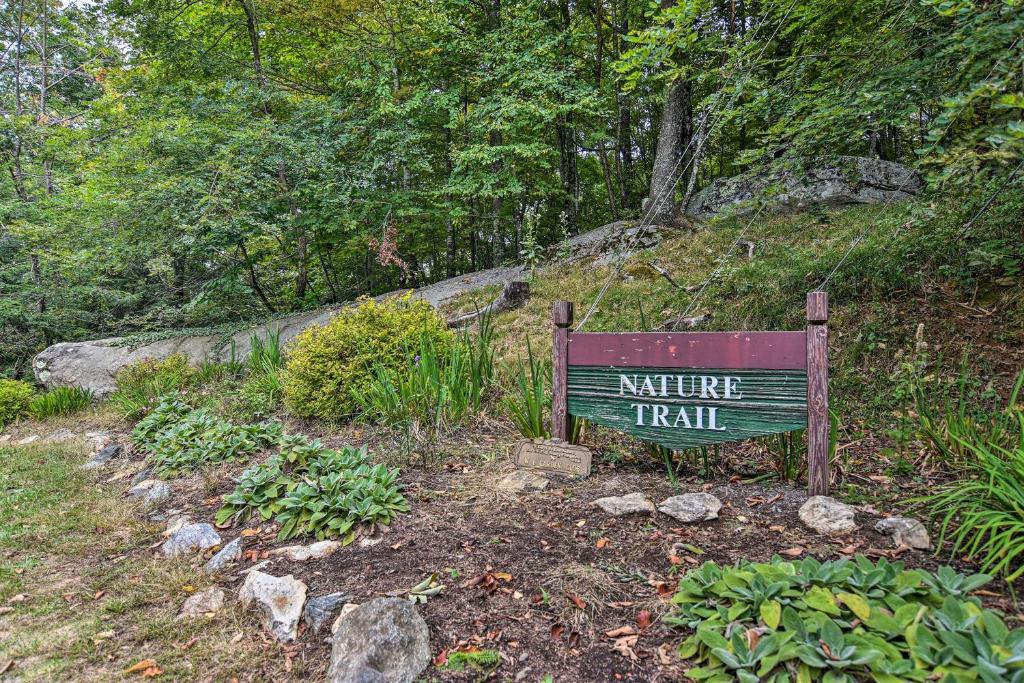 Wolf Laurel Resort Cabin with Hiking and Skiing! - image 6