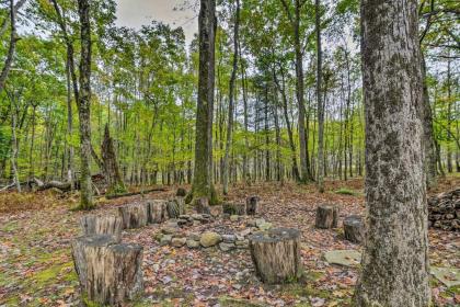 Deep Creek Cabin with 2 Acres 8Mi to Wisp Ski Resort