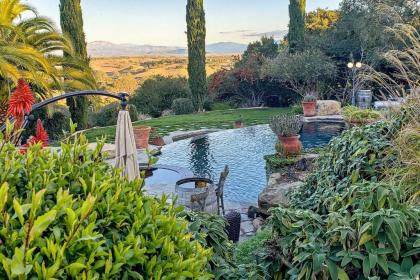 Private Ranch Resort-Vineyard View and Infinity Pool - image 3