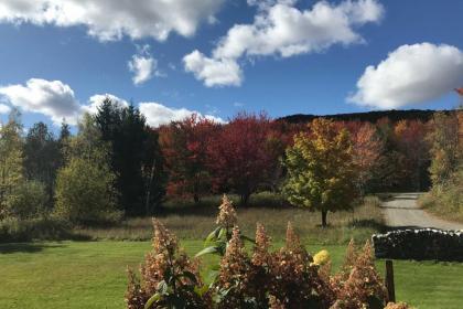 Secluded Upscale Cabin - Near Jay Peak Resort - image 12