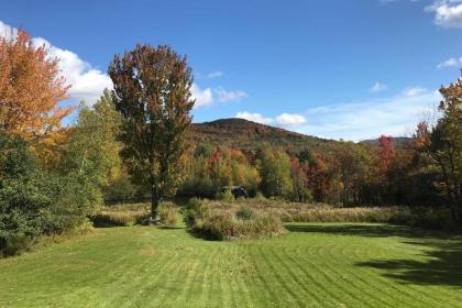 Secluded Upscale Cabin - Near Jay Peak Resort - image 14