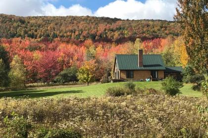 Secluded Upscale Cabin - Near Jay Peak Resort - image 7