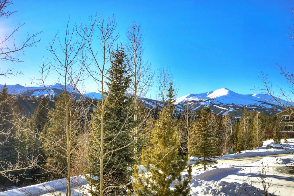 River Park Estates - Live the Breckenridge Dream with Resort Managers - image 4