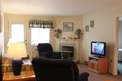 Nordic Inn Condominium Resort - image 16