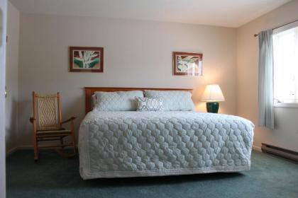 Nordic Inn Condominium Resort - image 17