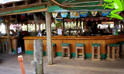 Roland Martin Marina/Resort - image 7