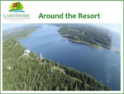 Lakeshore Treehouse Resort - image 14