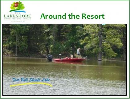 Lakeshore Treehouse Resort - image 20