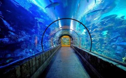 Mandalay Bay Resort and Casino by Suiteness - image 7