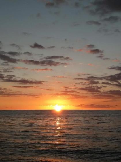 Royal Kuhio Resort - image 4