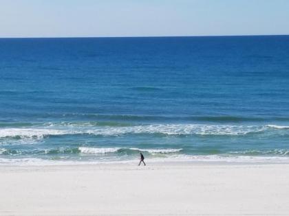 Sugar Shores at the Ocean Reef Resort - image 10