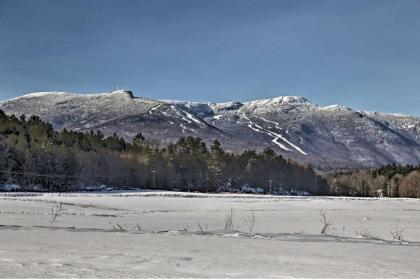 Cozy Home with Sauna Mins to Stowe Mountain Resort - image 7