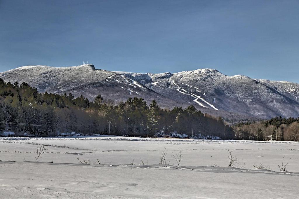 Cozy Home with Sauna Mins to Stowe Mountain Resort - image 7