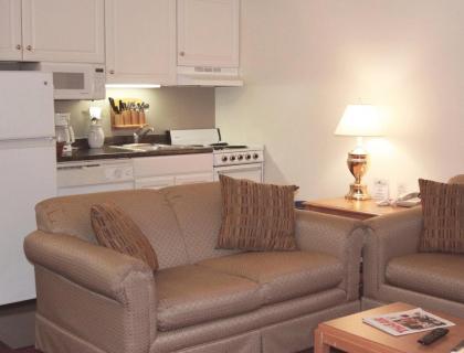 Luxurious Slopeside Resort at Attitash Mountain - image 8