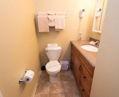 Family Friendly Resort Condos at Loon Mountain - image 11