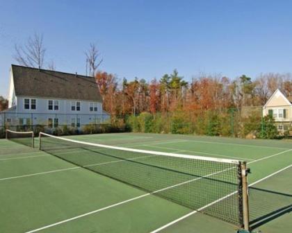 Scenic Vacation Resort Properties in Historic Williamsburg - image 12