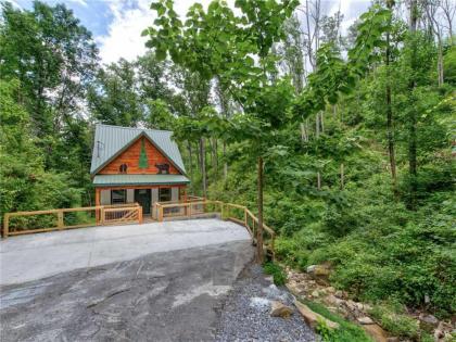 Bearly Hidden 1 Bedroom Loft Resort Pool Hot Tub Fireplace Sleeps 5 - image 1