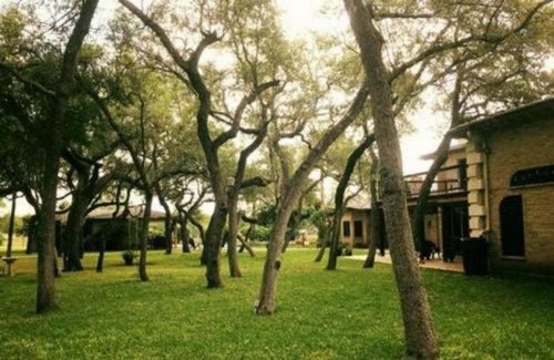 Live Oaks Bed and Breakfast - image 2