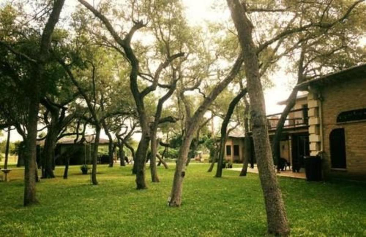 Live Oaks Bed and Breakfast - image 2