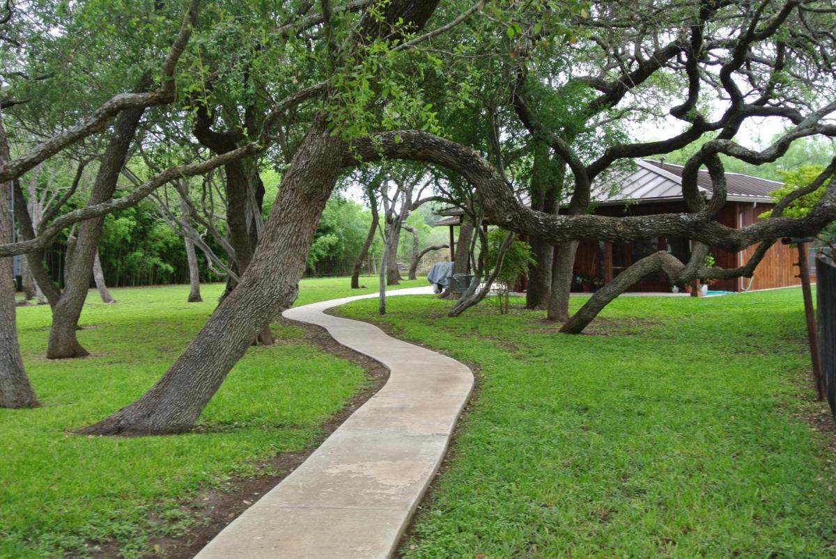 Live Oaks Bed and Breakfast - image 5