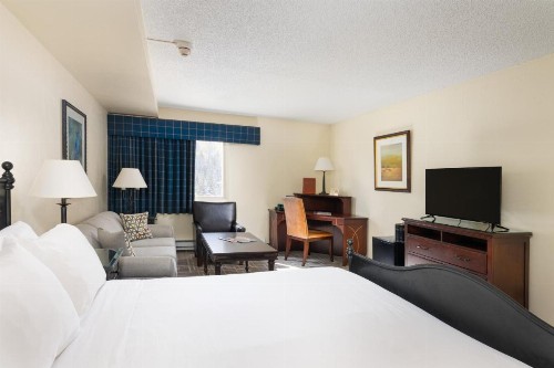 Evergreen Lodge at Vail - image 15