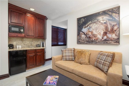 Beaver Creek Lodge Autograph Collection - image 14