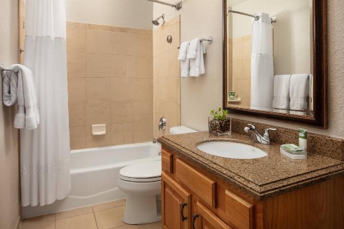 Marriott's StreamSide Birch at Vail - image 6