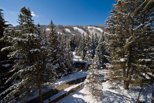 Lodge at Lionshead - image 6