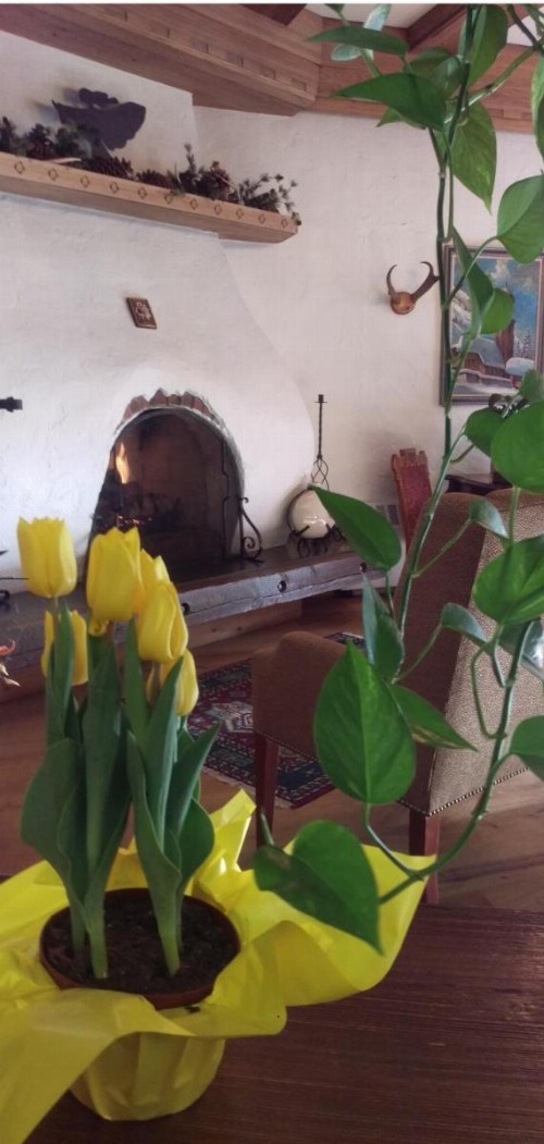Hotel Gasthof Gramshammer - image 39