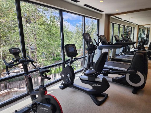 Park Plaza Beaver Creek - image 18