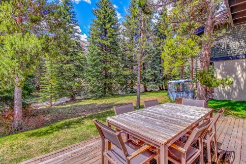 Ptarmigan Mountain Chalet - image 6