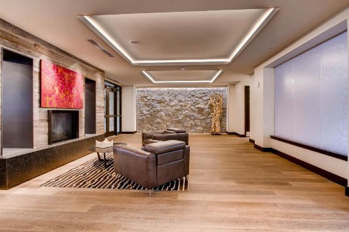 The Lion Vail - image 11