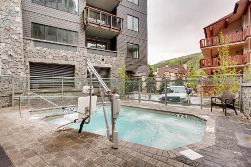 The Lion Vail - image 12