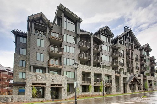 The Lion Vail - image 2