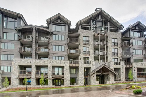 The Lion Vail - image 3