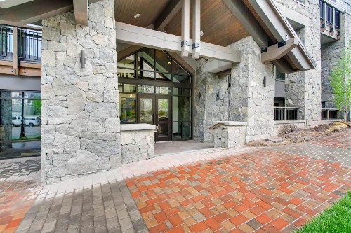 The Lion Vail - image 4