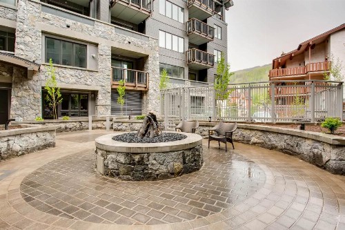 The Lion Vail - image 5