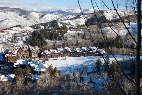 Snowberry - image 31