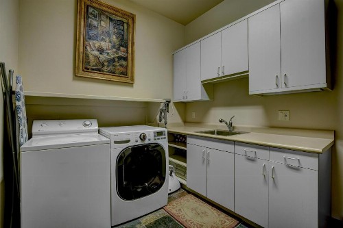 Snowberry - image 41