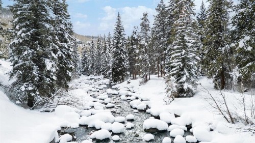 Eagle Point Resort - image 32