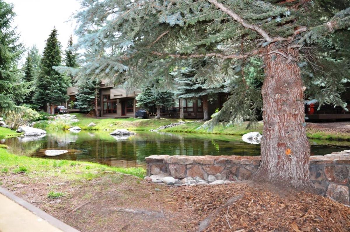 Courtside 23 - Spacious East Vail Townhome - image 3